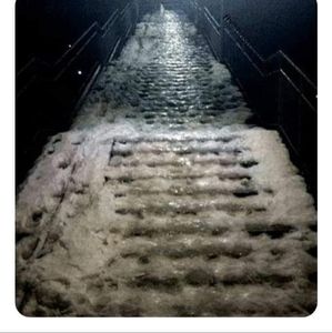 Meet your Posher, Leisa